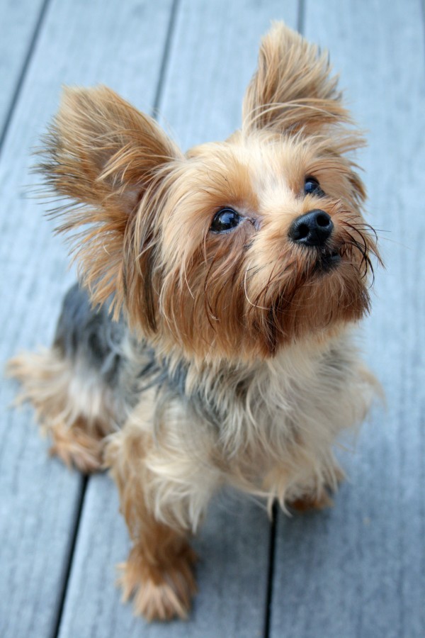 DIY Glitter Candlesticks Dream Green DIY