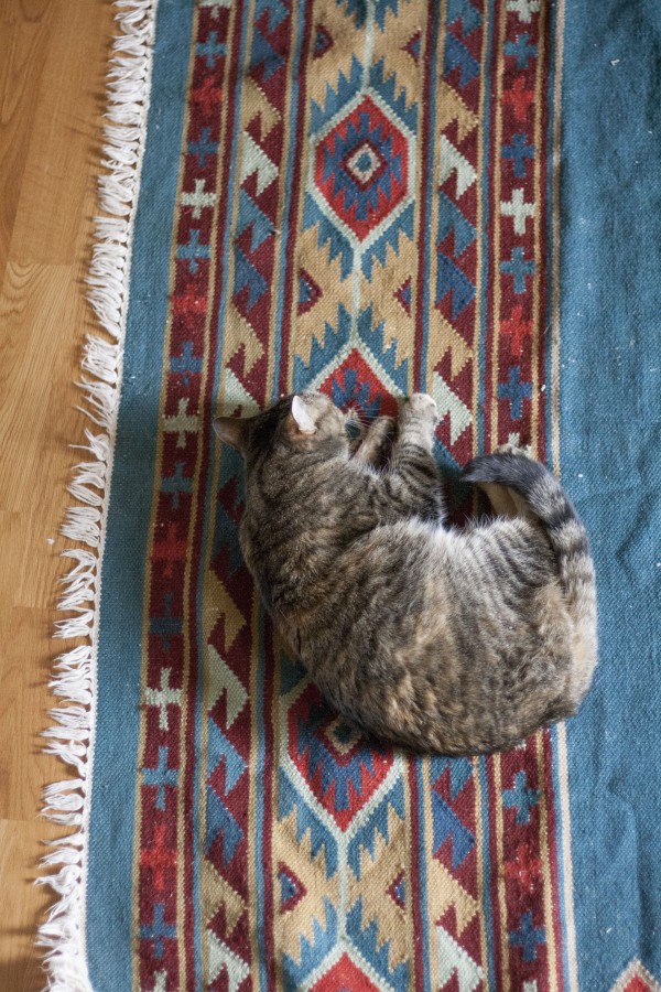 Thrift Store Score A Kilim Rug Dream Green DIY