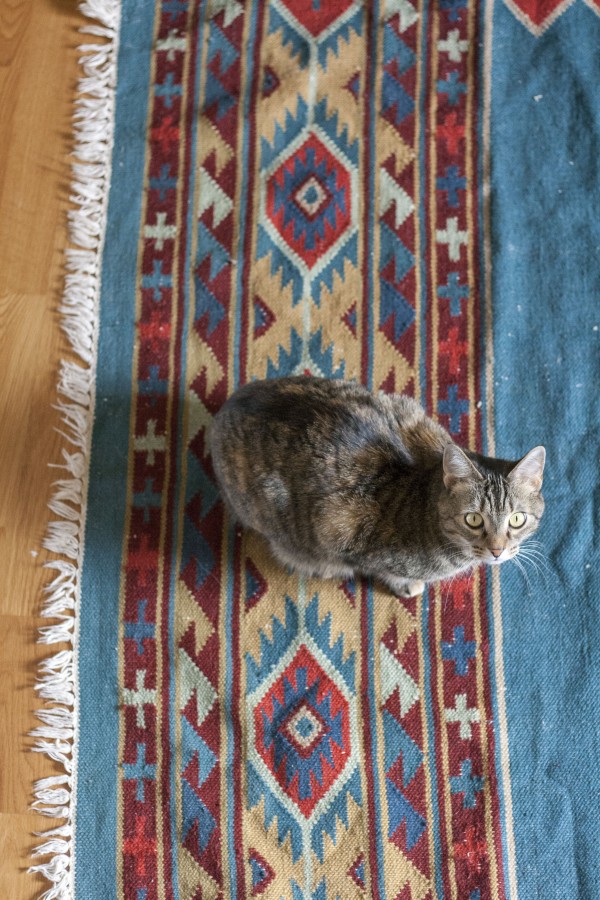 Thrift Store Score A Kilim Rug Dream Green DIY