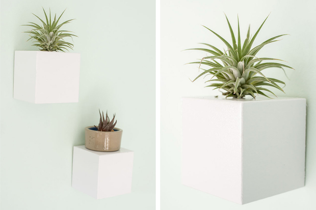 View of This Week on eHow: Wall Mounted Plant Stands - Dream Green DIY