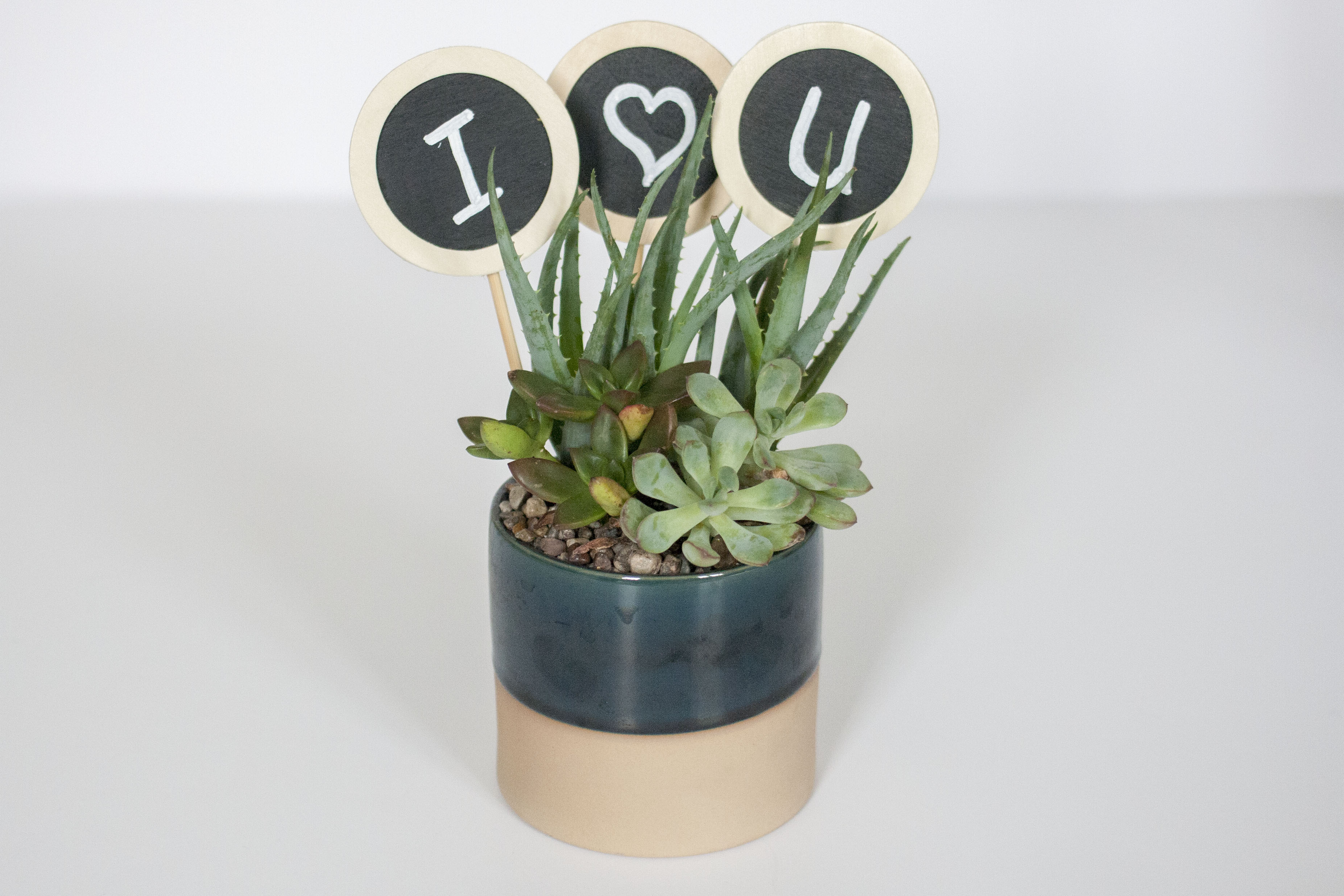 DIY Potted Plant Toppers Dream Green DIY