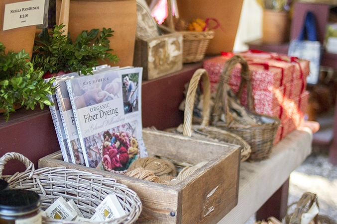 Christmas in Colonial Williamsburg - Dream Green DIY