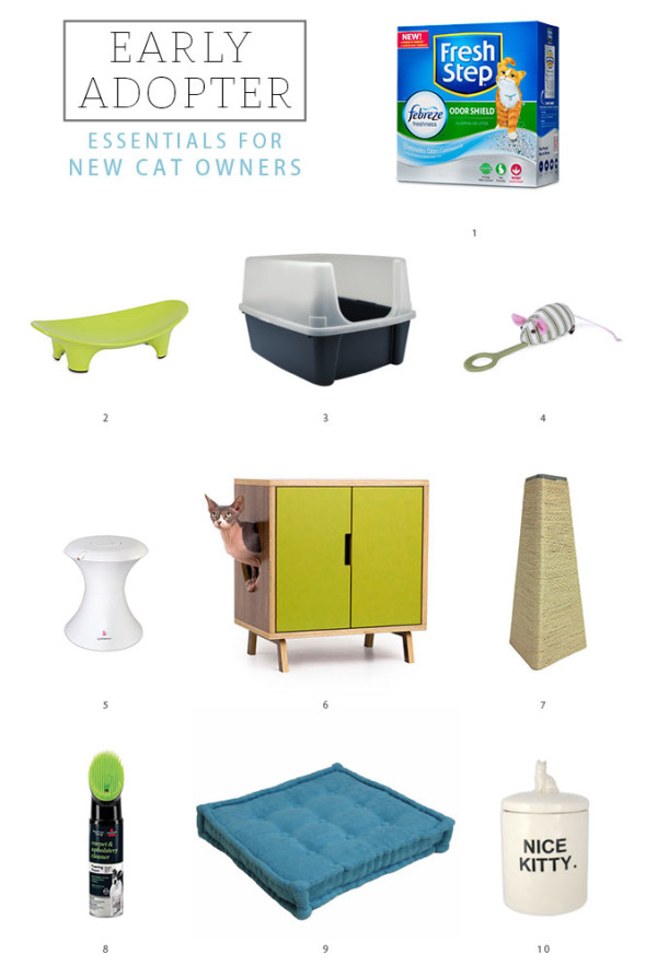 Everything You Need For Your New Feline Friend - Dream Green DIY