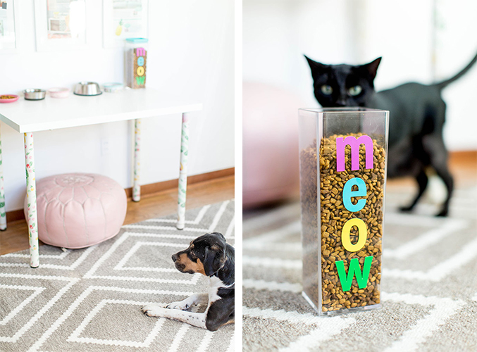 Cat Hack Project 2 How To Keep The Dog Out Of The Cat Food Dream