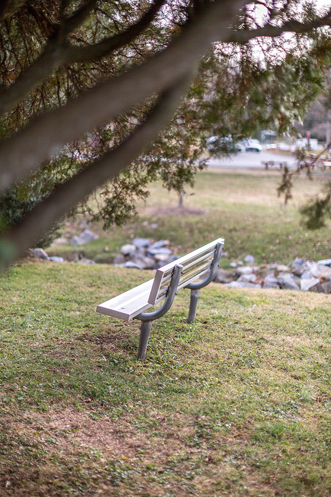 Spending A Day With The Ducks At Gypsy Hill Park - Dream Green Diy