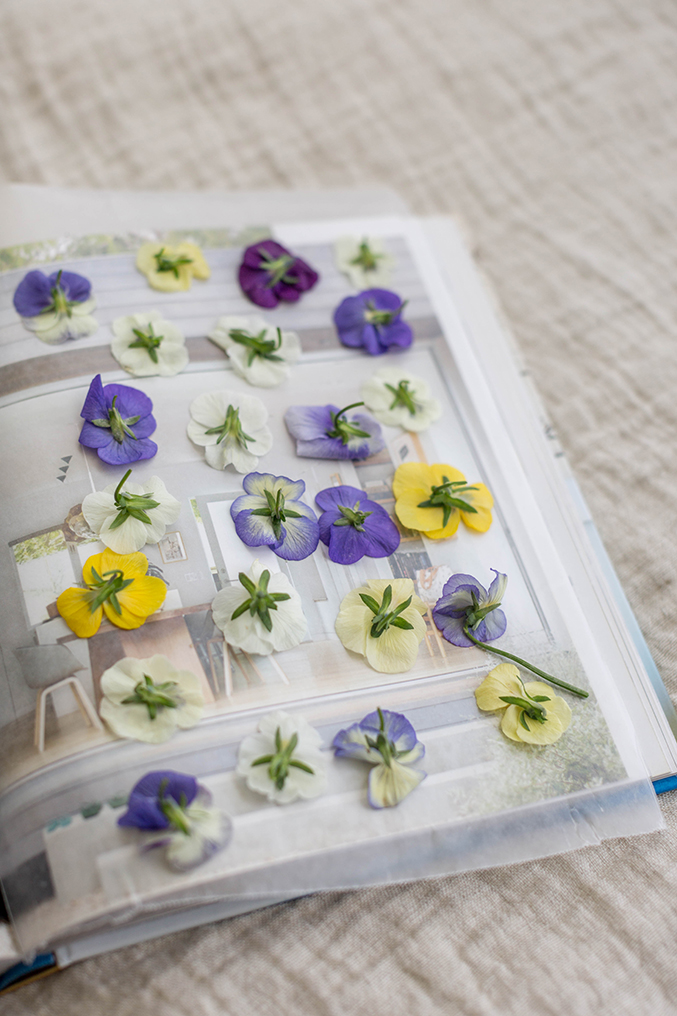 DIY Pressed Flower Wine Bottle Labels Dream Green DIY