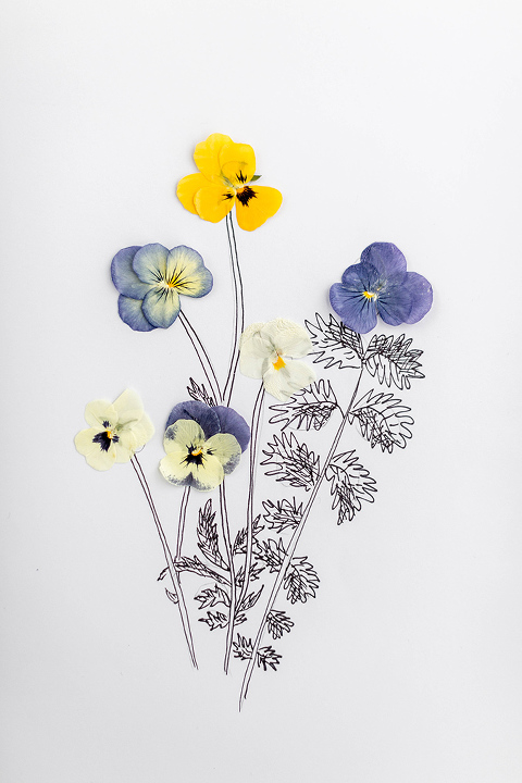 Get Art Using Pressed Flowers Images