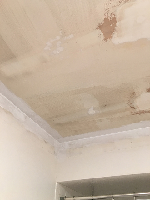 How To Remove Dated Drop Ceiling Tiles Dream Green Diy