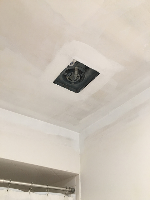 How To Remove Dated Drop Ceiling Tiles Dream Green Diy