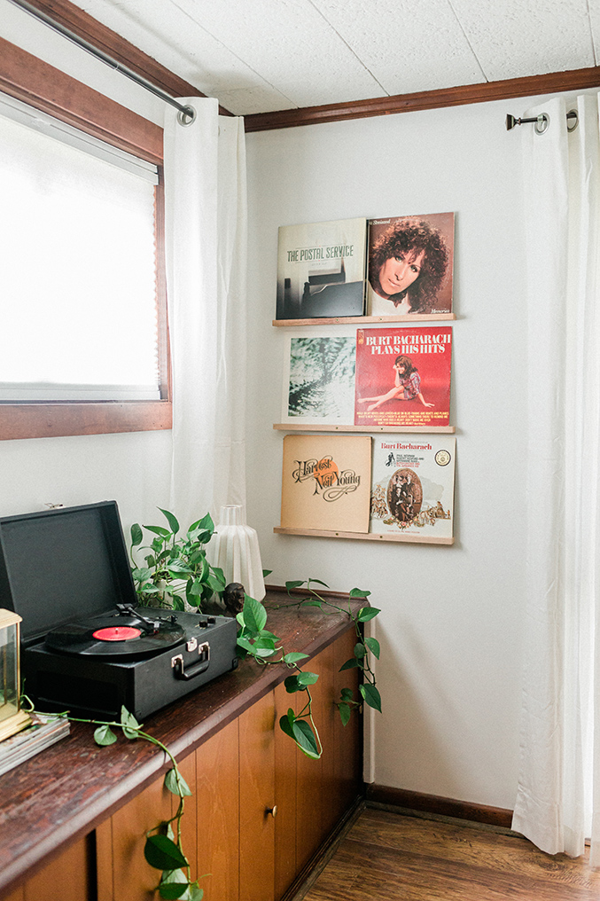 DIY Vinyl Records Shelf Display Dream Green DIY