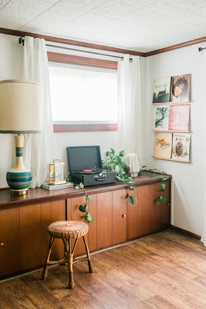 DIY Vinyl Records Shelf Display Dream Green DIY