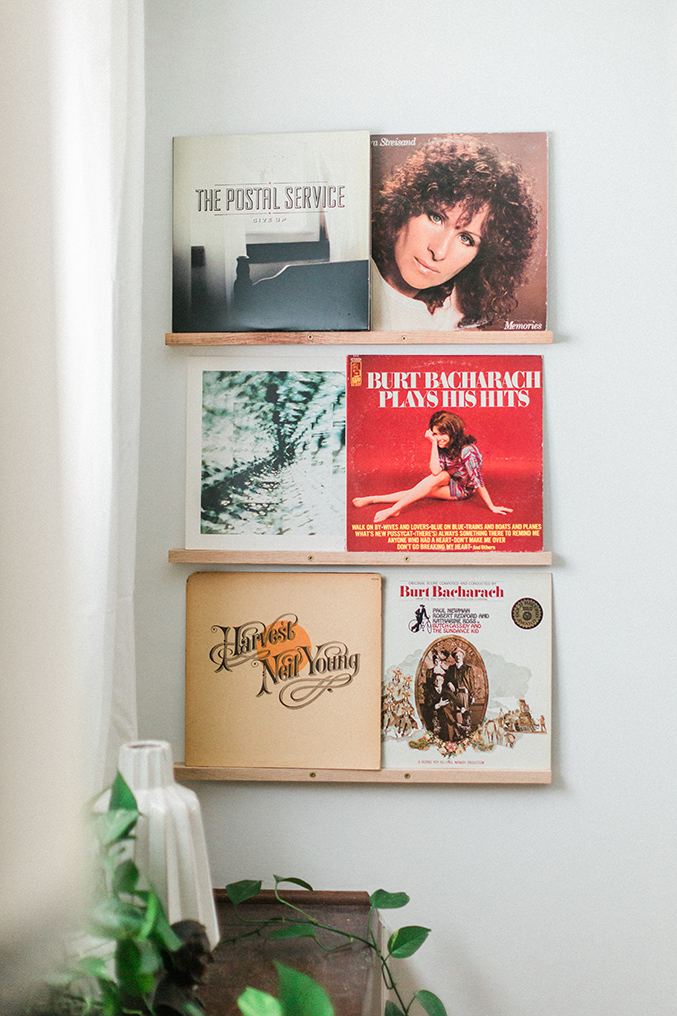 DIY Vinyl Records Shelf Display Dream Green DIY
