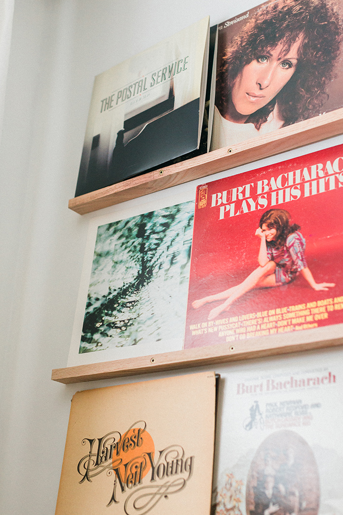 DIY Vinyl Records Shelf Display Dream Green DIY