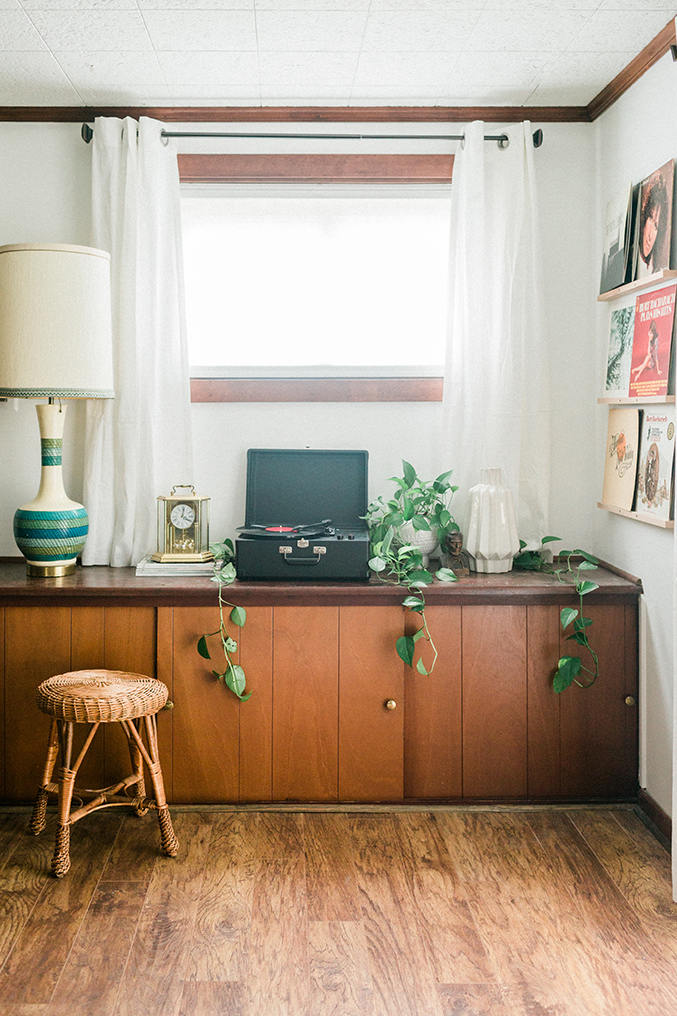 DIY Vinyl Records Shelf Display Dream Green DIY