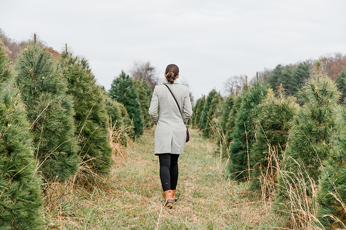 Our Day At The Christmas Tree Farm - Dream Green DIY