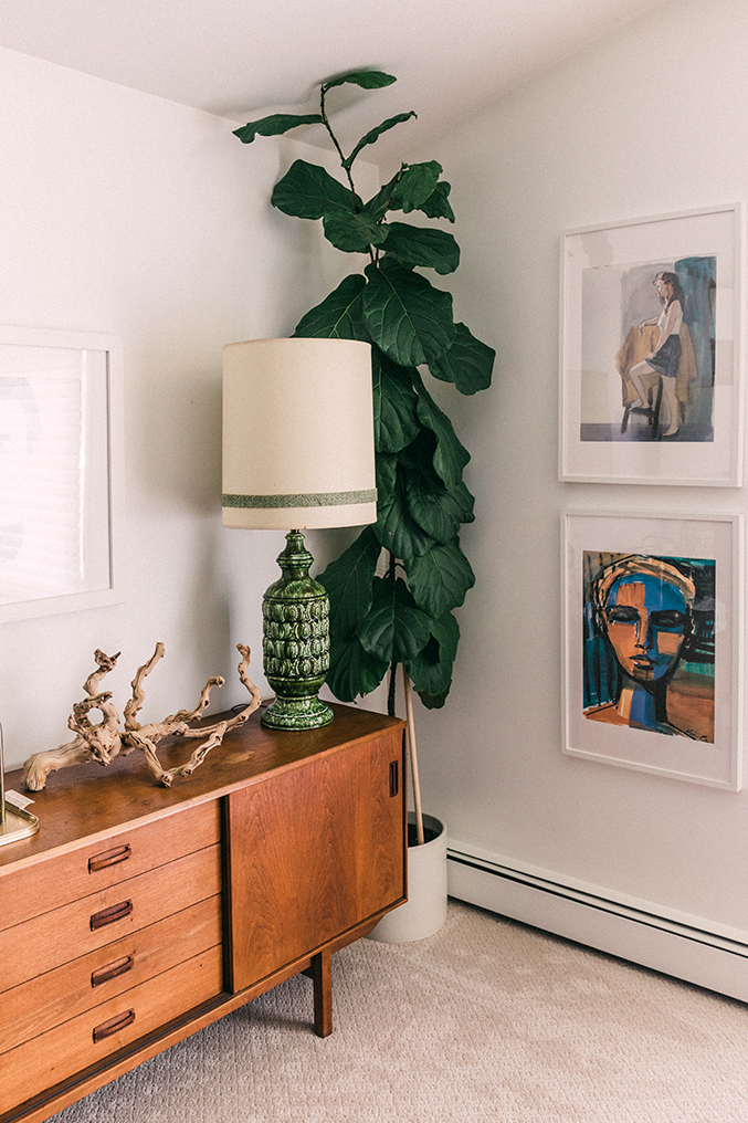 Painting A Moody Dark Green Feature Wall - Dream Green DIY