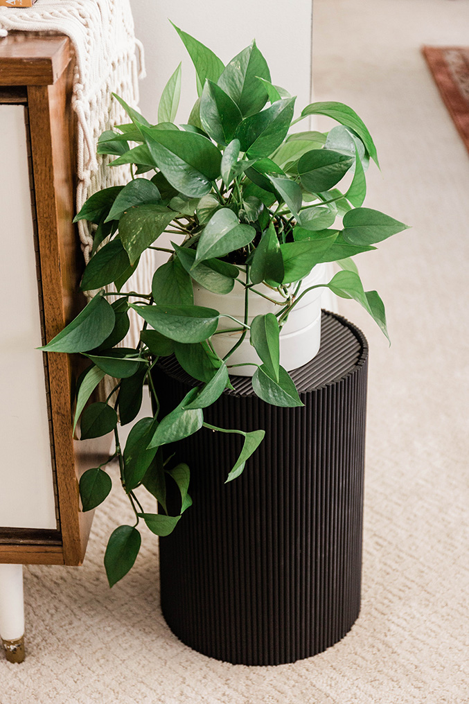 Turn A Trash Can Into A Plant Stand Dream Green DIY