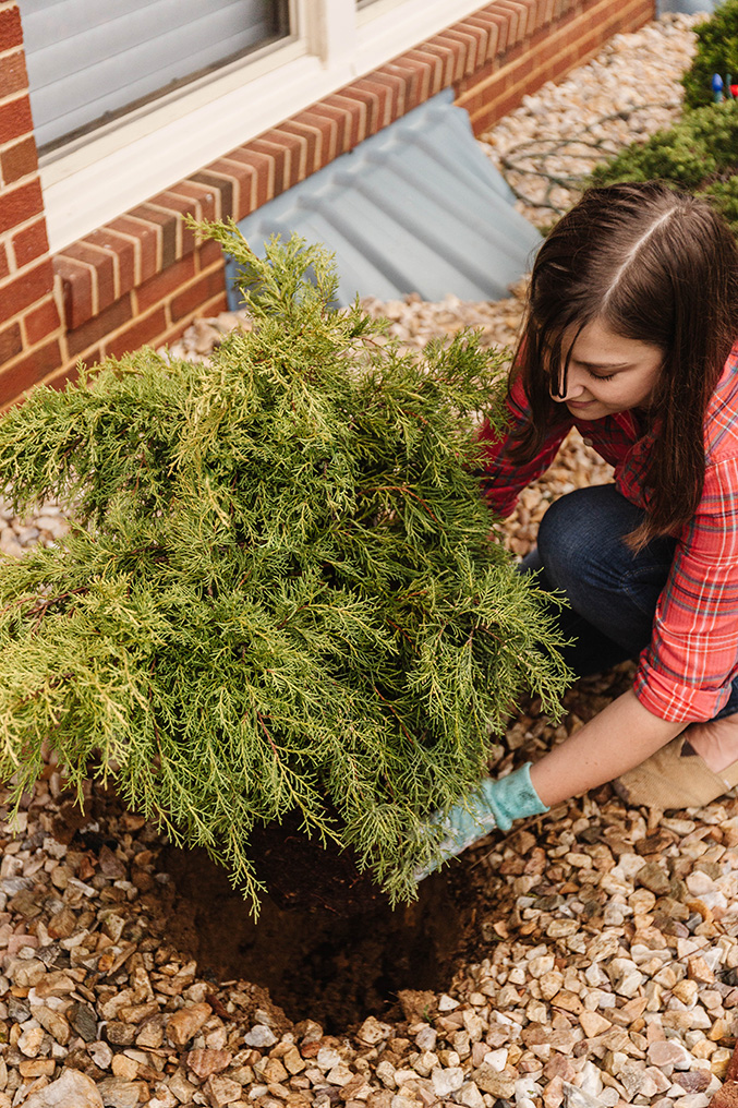 Managing The Strain Of New Seasonal Chores - Dream Green DIY