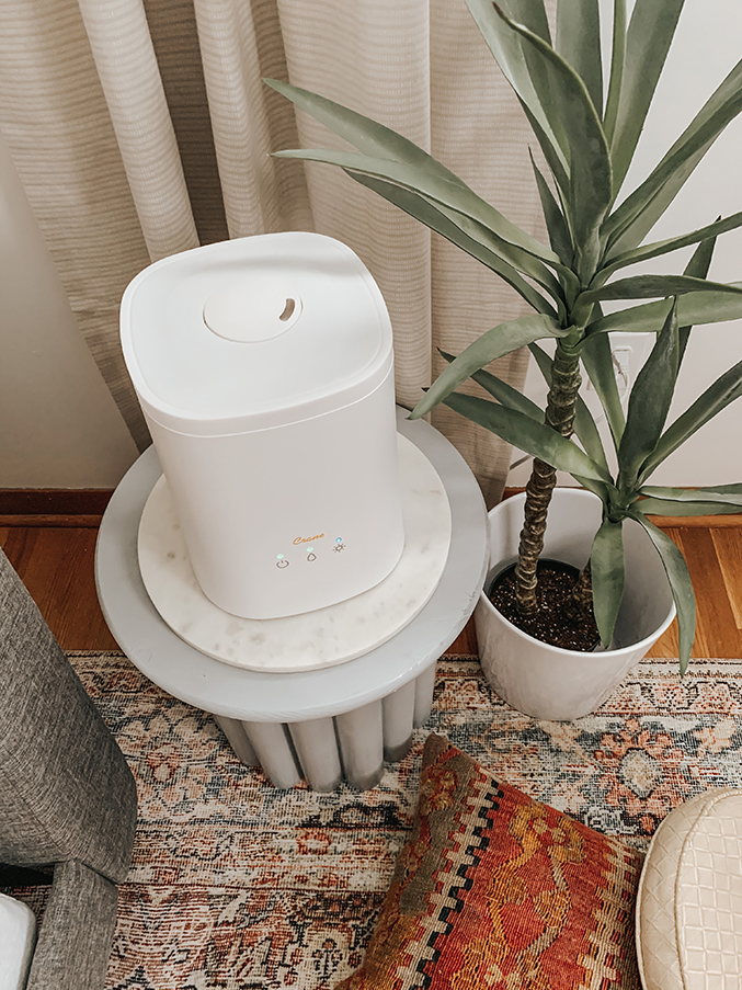Why We Use Humidifiers YearRound Dream Green DIY