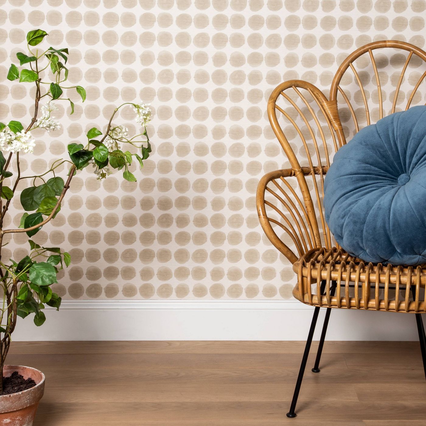 Home - Dream Green DIY