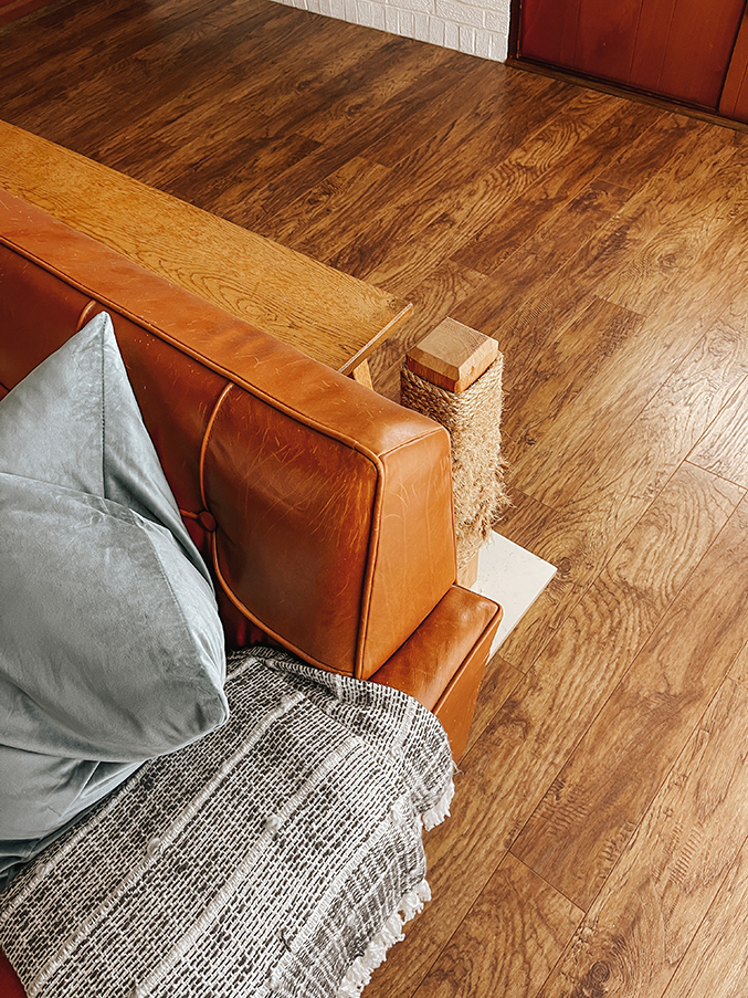 How To Stop Cat Scratching At Home Dream Green DIY