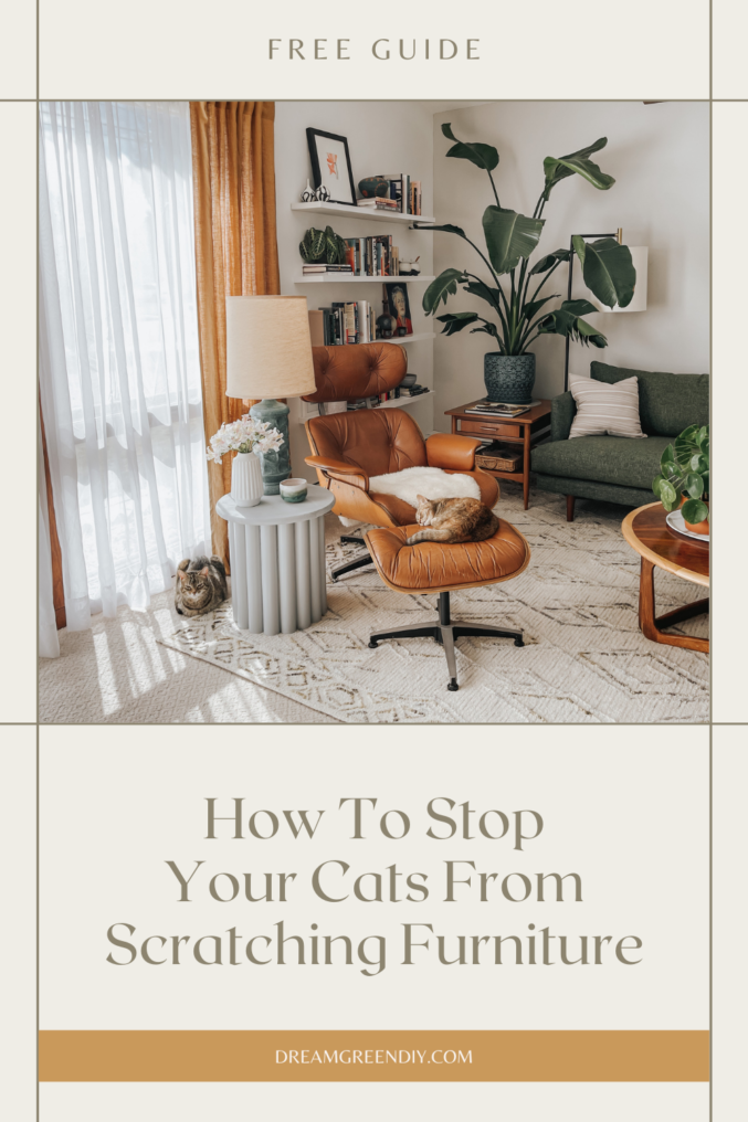 How To Stop Cat Scratching At Home Dream Green DIY