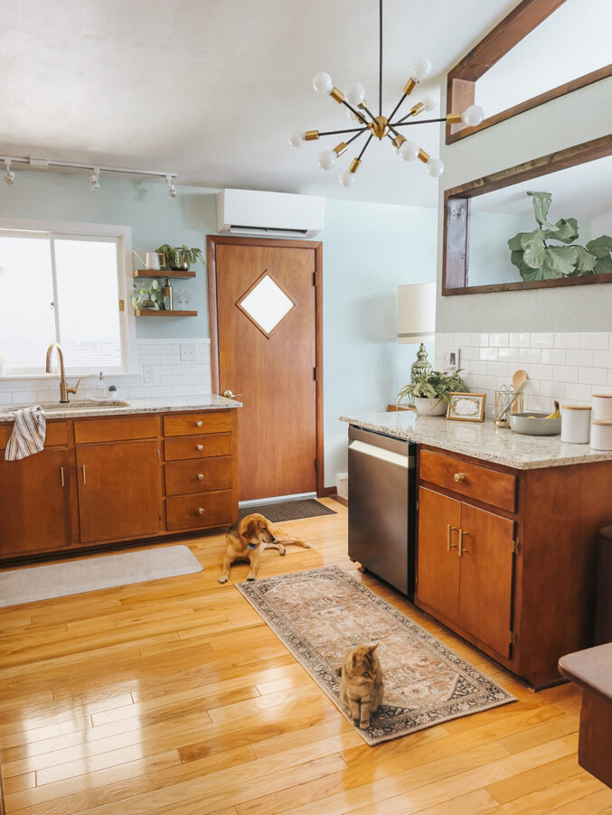 Review Samsung's Bespoke Dishwasher Dream Green DIY