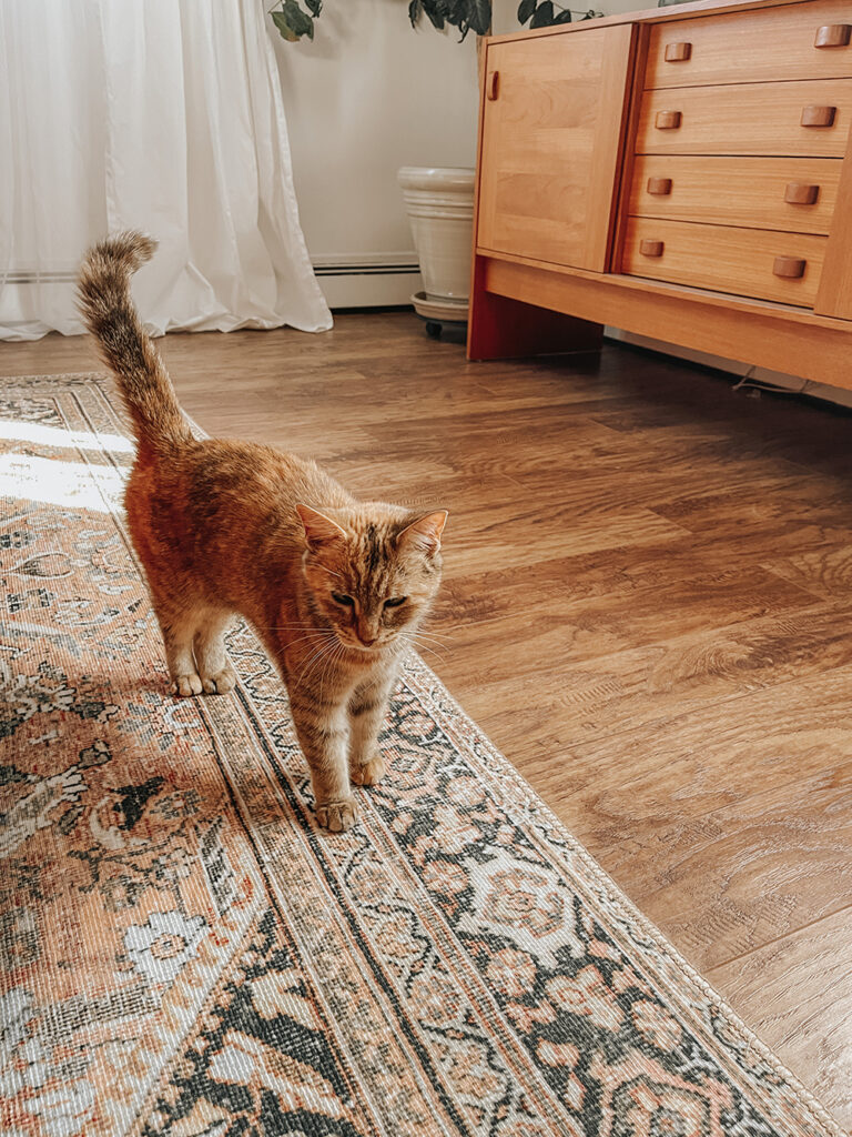Photo inspiration: Prioritizing Beautifully Responsible Flooring Photo Inspiration