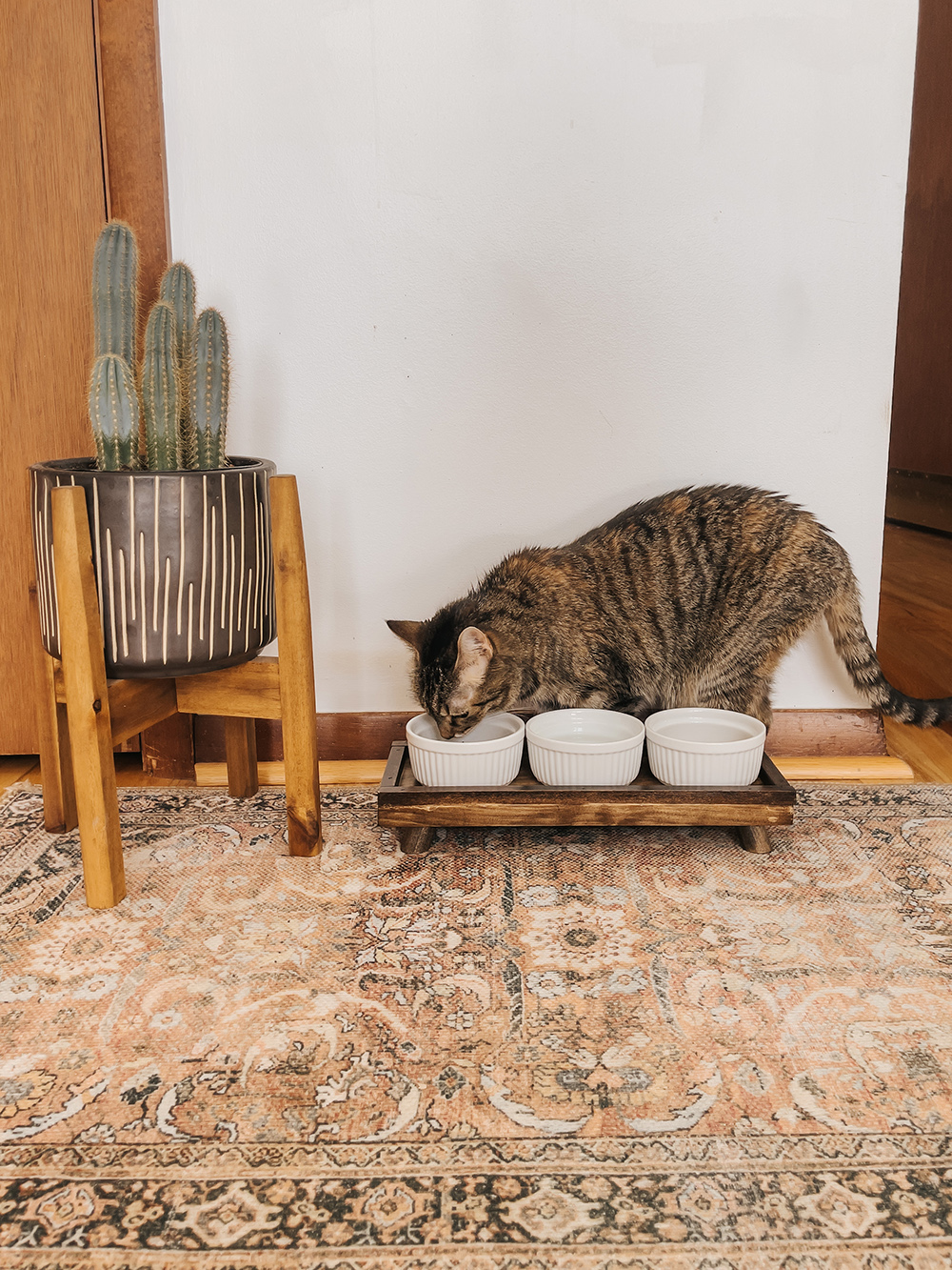 DIY Wooden Pet Food Bowl Stand Dream Green DIY