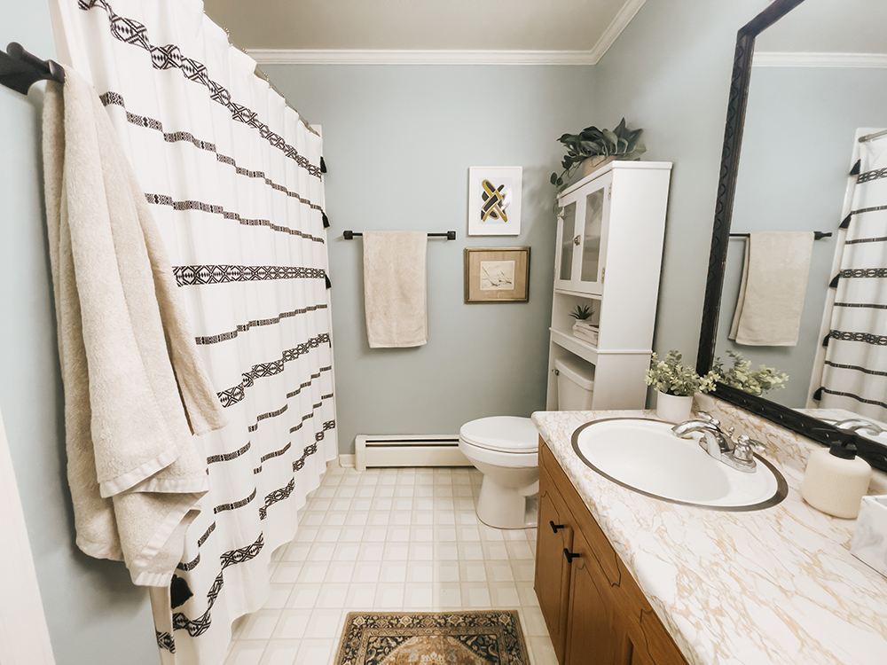 Before/After: Dated Retro Bathroom