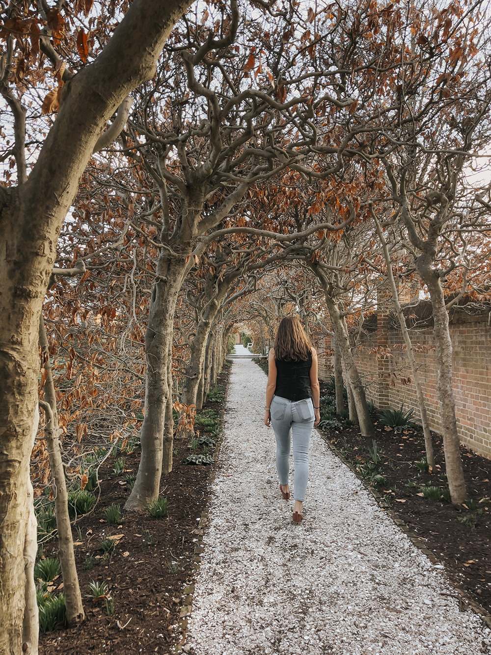 Things To Do In Colonial Williamsburg - Dream Green DIY