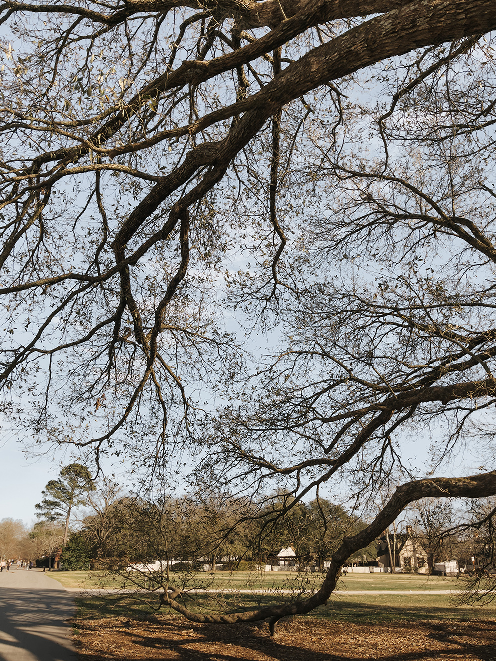 Things To Do In Colonial Williamsburg - Dream Green DIY