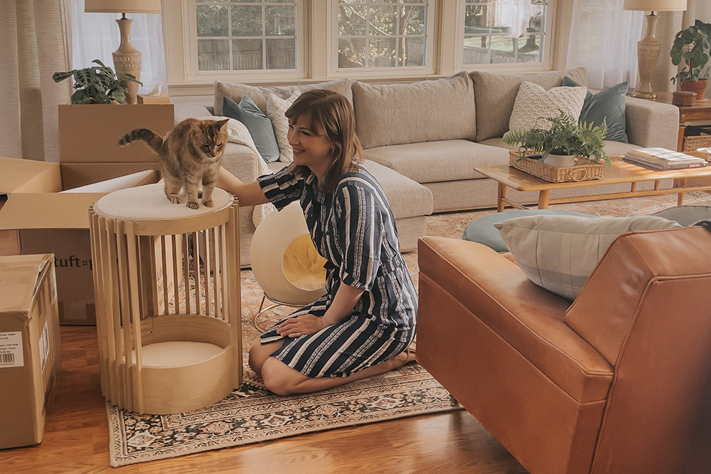 Beautiful Cat Beds Worth Investing In Dream Green DIY