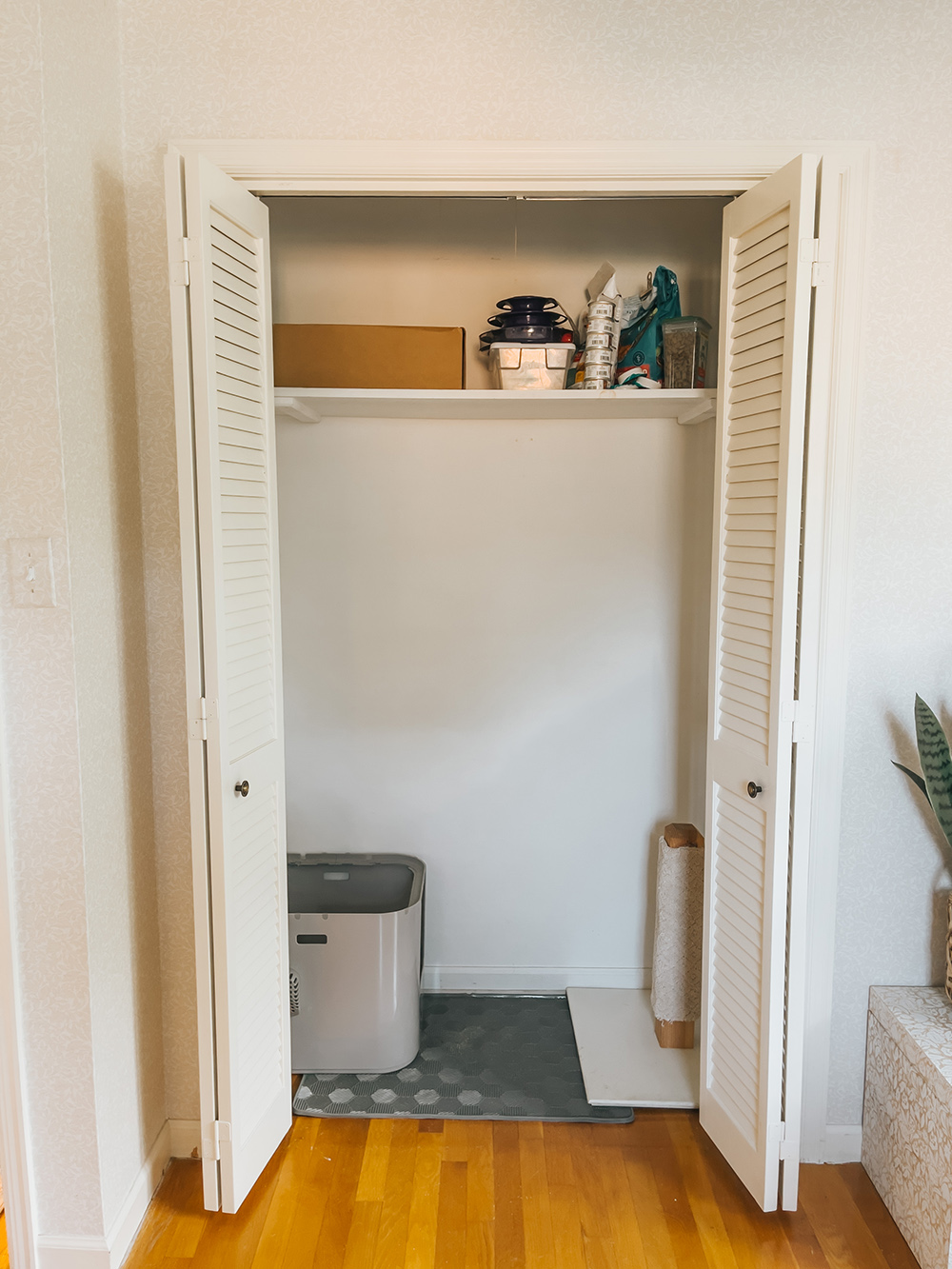 From Unused Closet To Cat Litter Cubby Dream Green DIY