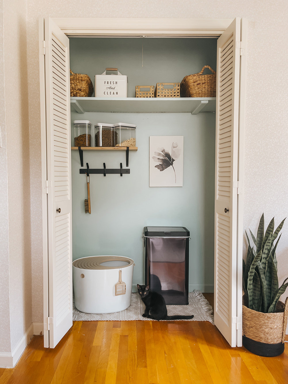 From Unused Closet To Cat Litter Cubby Dream Green DIY