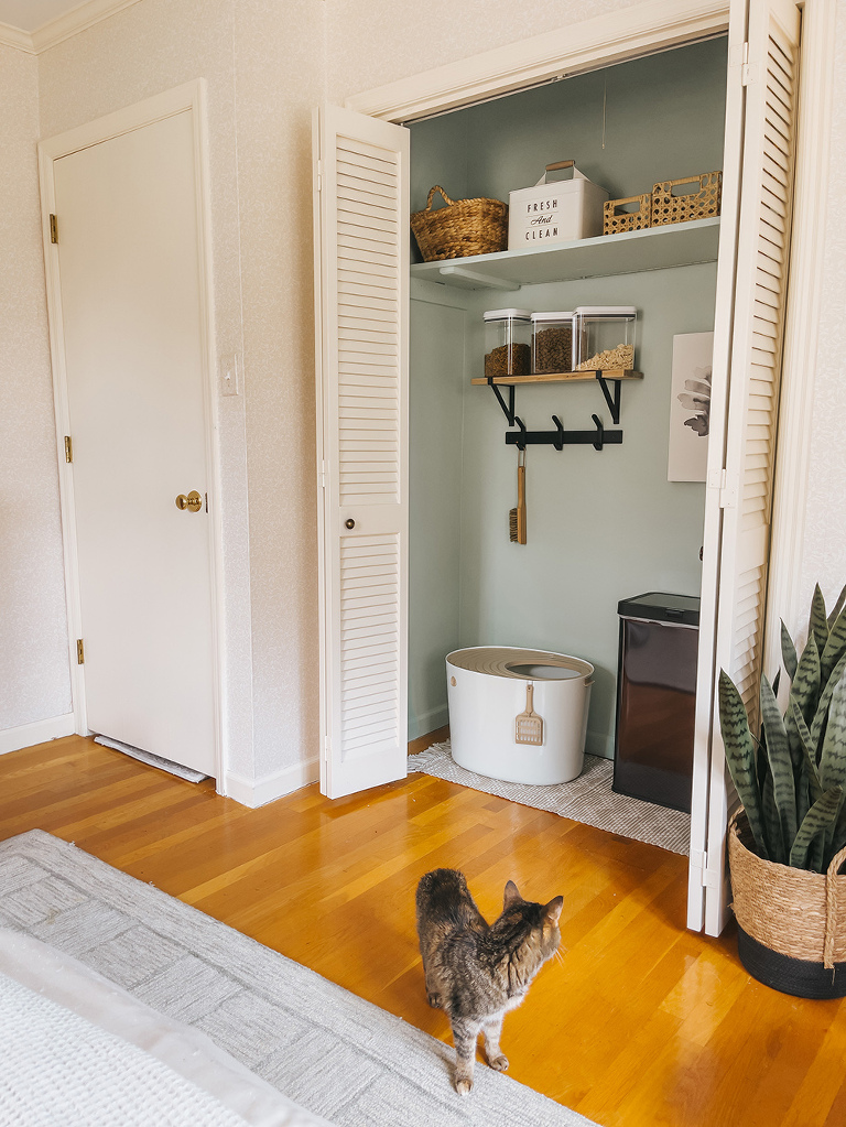 From Unused Closet To Cat Litter Cubby Dream Green DIY