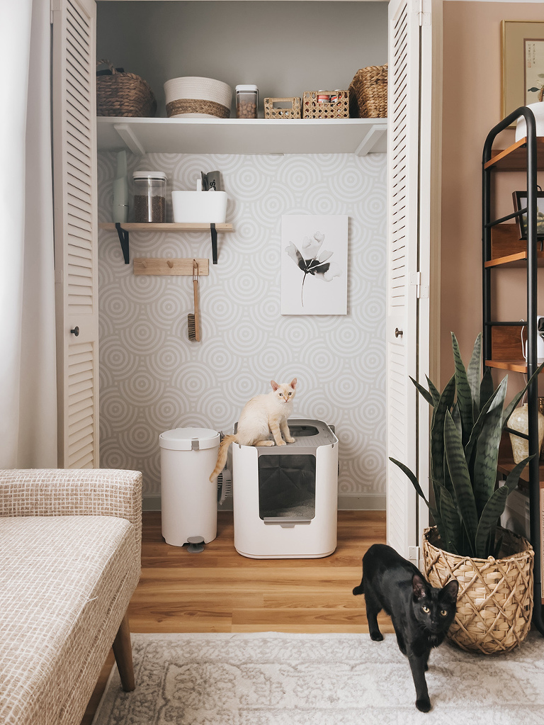 Image showcasing My Best Kitten Litter Training Tips - Dream Green DIY