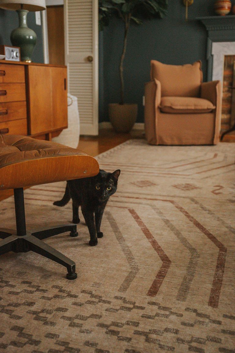 New Revival Rug In The Living Room - Dream Green DIY