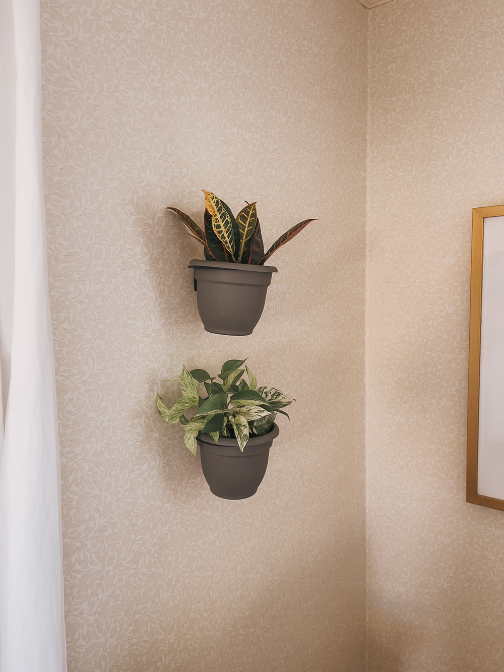DIY WallMounted Gardening Idea Dream Green DIY